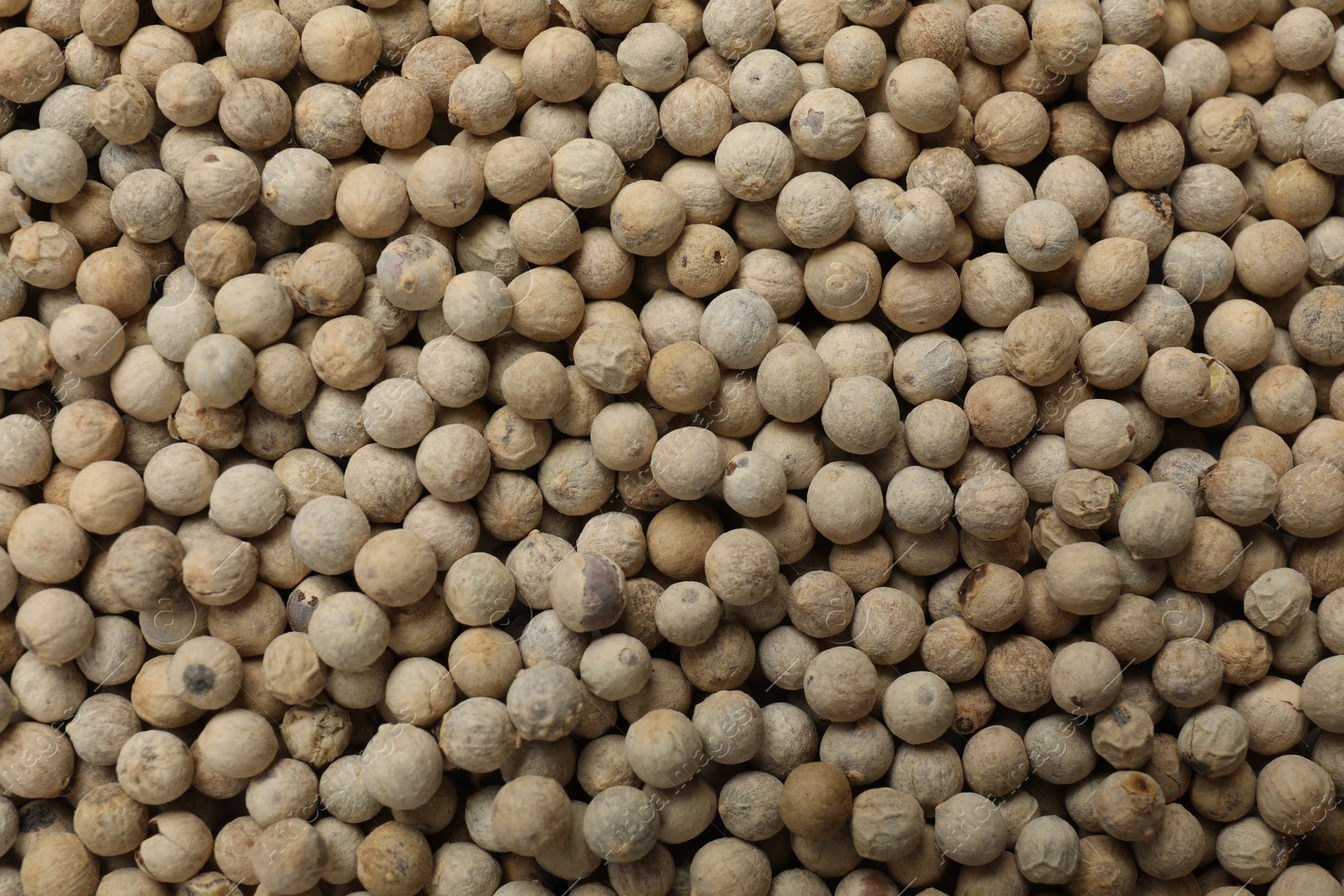 Photo of Aromatic spice. White peppers as background, top view