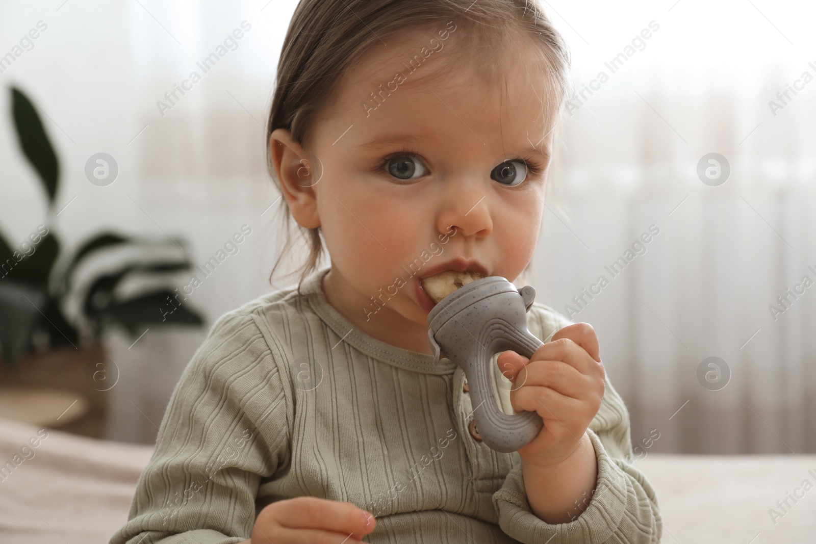 Photo of Cute baby girl with nibbler at home