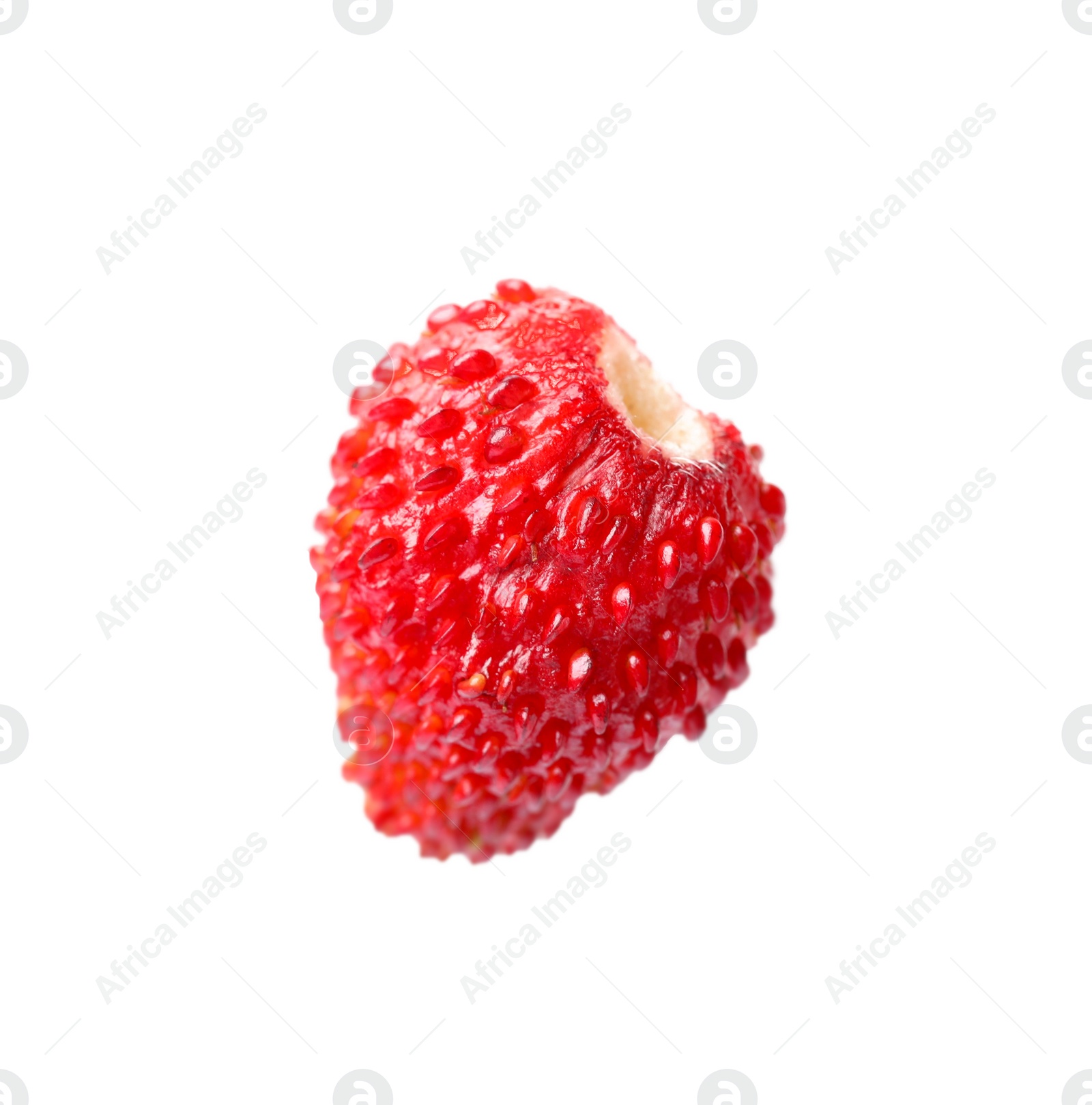 Photo of One ripe wild strawberry isolated on white