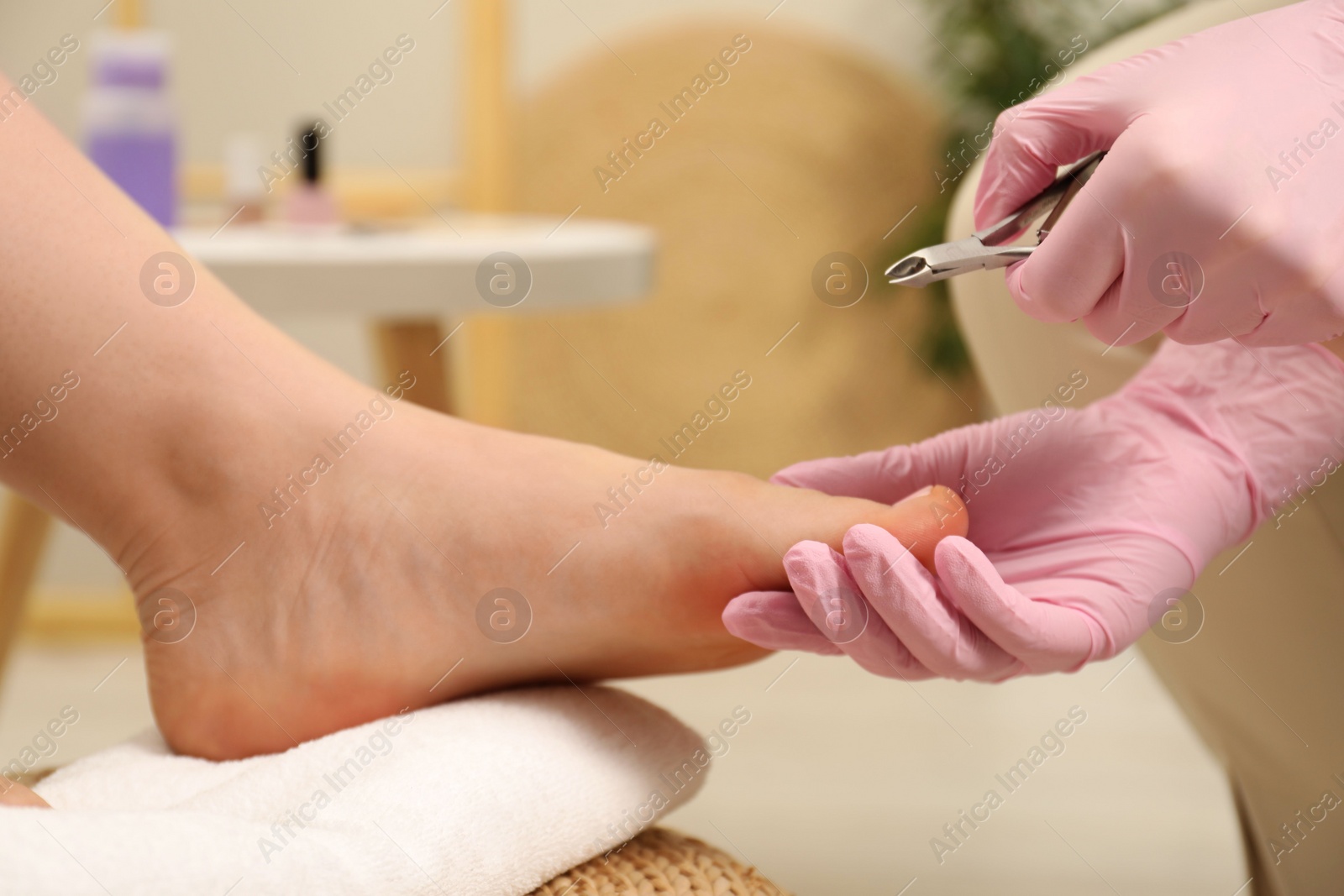 Photo of Professional pedicurist working with client`s toenails in beauty salon, closeup