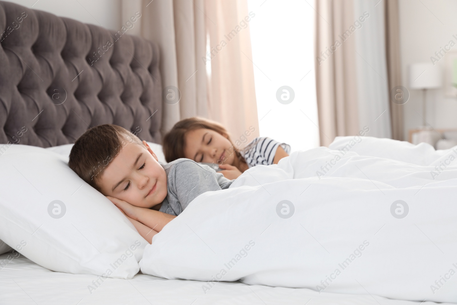 Photo of Cute little children sleeping in comfort bed