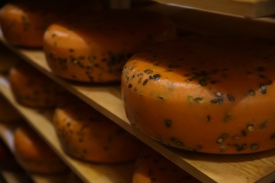 Fresh cheese with seeds on rack in factory warehouse, closeup