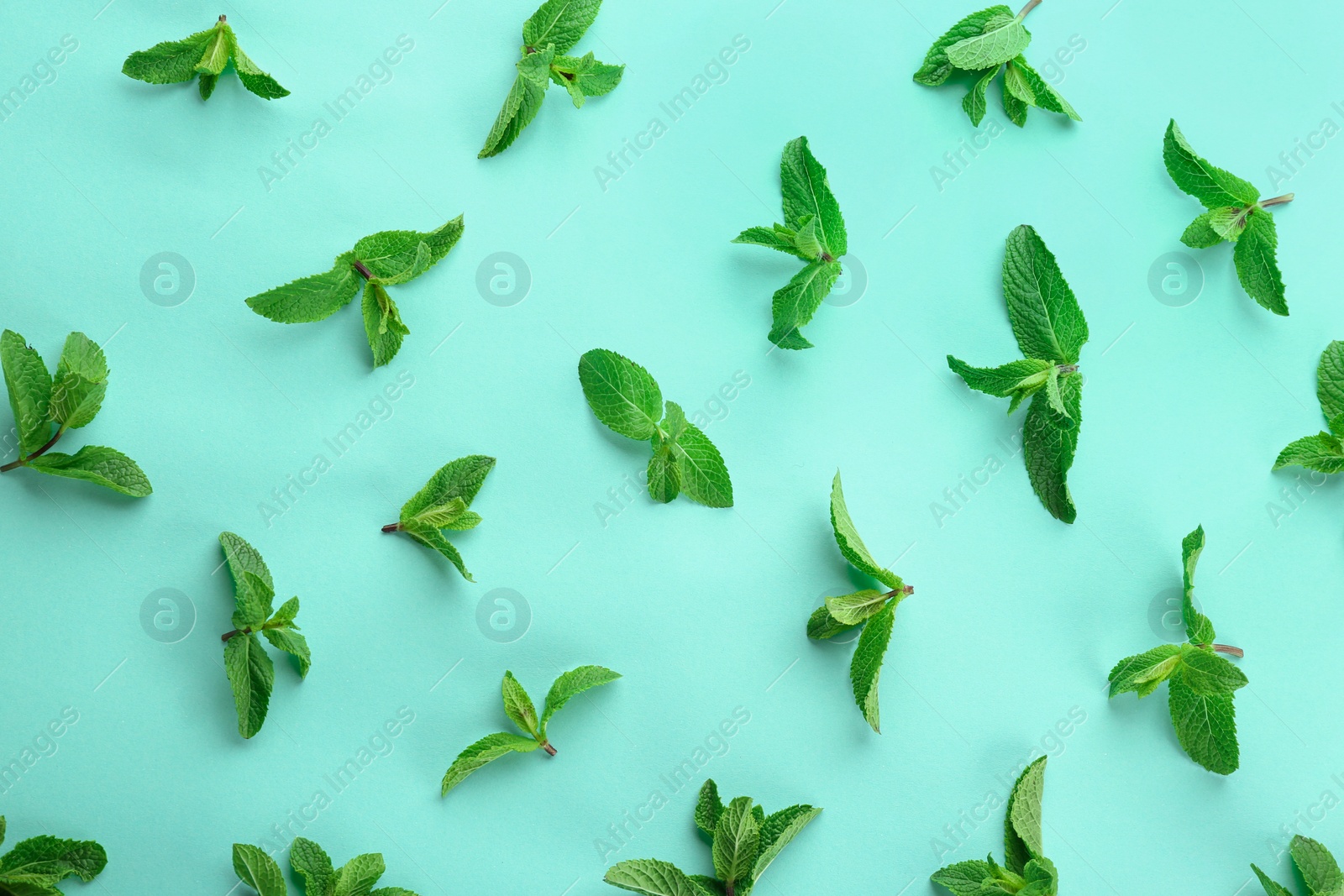 Photo of Flat lay composition with fresh mint leaves on color background