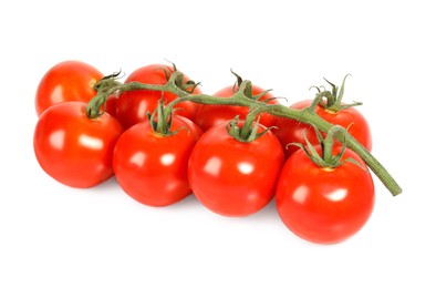 Branch with ripe cherry tomatoes isolated on white