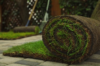 Photo of Rolled grass sod on pavement at backyard, closeup. Space for text
