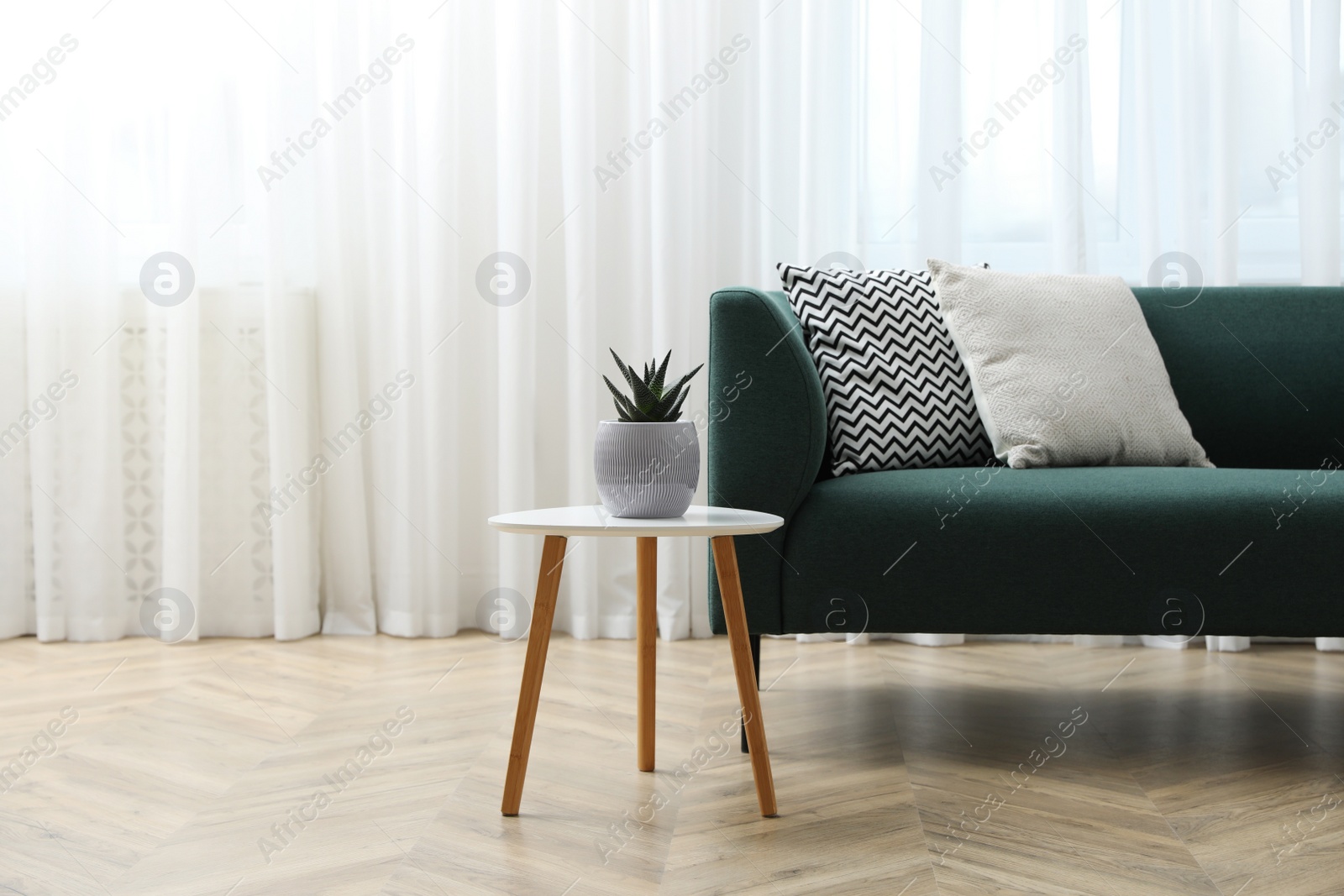Photo of Stylish living room interior with comfortable green sofa and beautiful plant near window. Space for text