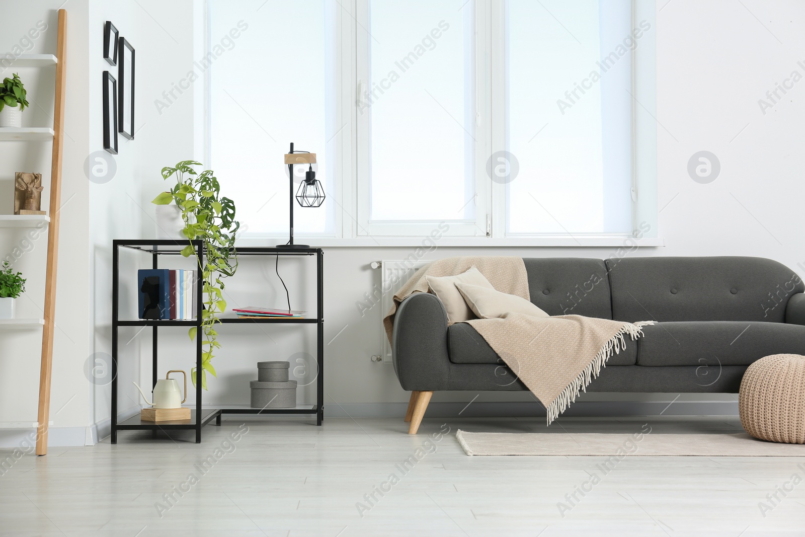 Photo of Stylish living room with couch and houseplants near window. Interior design