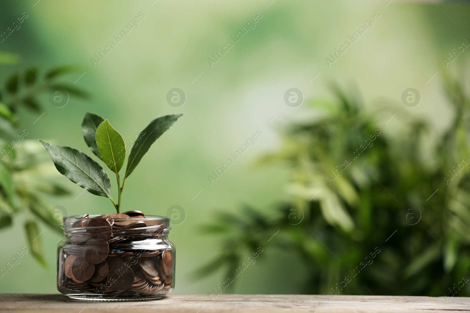 Photo of Glass jar of coins with young plant on wooden table against blurred background, space for text