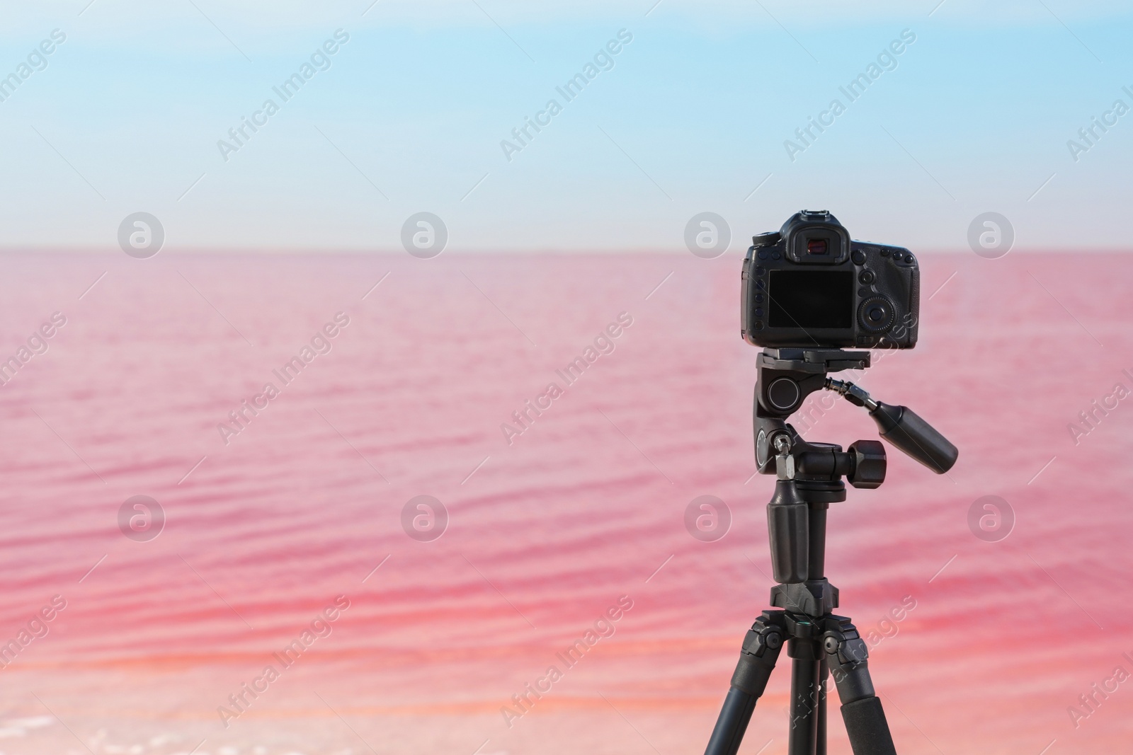 Photo of Professional camera on tripod near pink lake