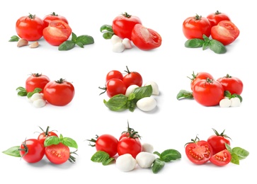 Image of Set of ripe red tomatoes, mozzarella balls, garlic and green basil leaves on white background