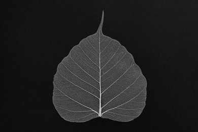 Photo of Beautiful decorative skeleton leaf on black background, top view