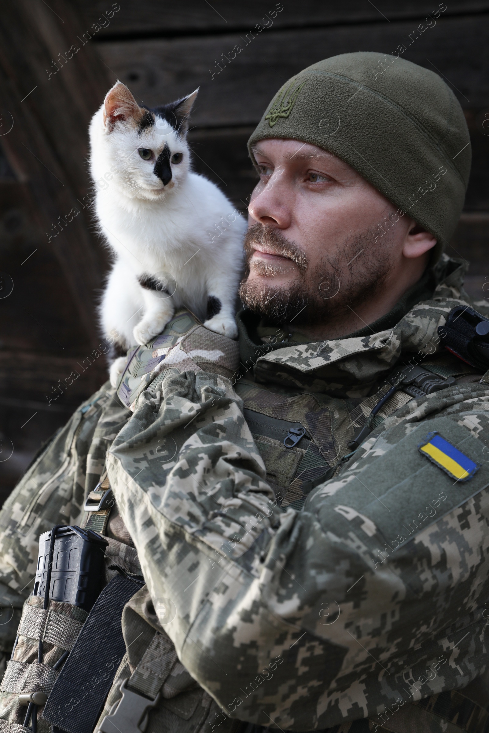 Photo of Ukrainian soldier rescuing animal. Little stray cat on man's shoulder, closeup