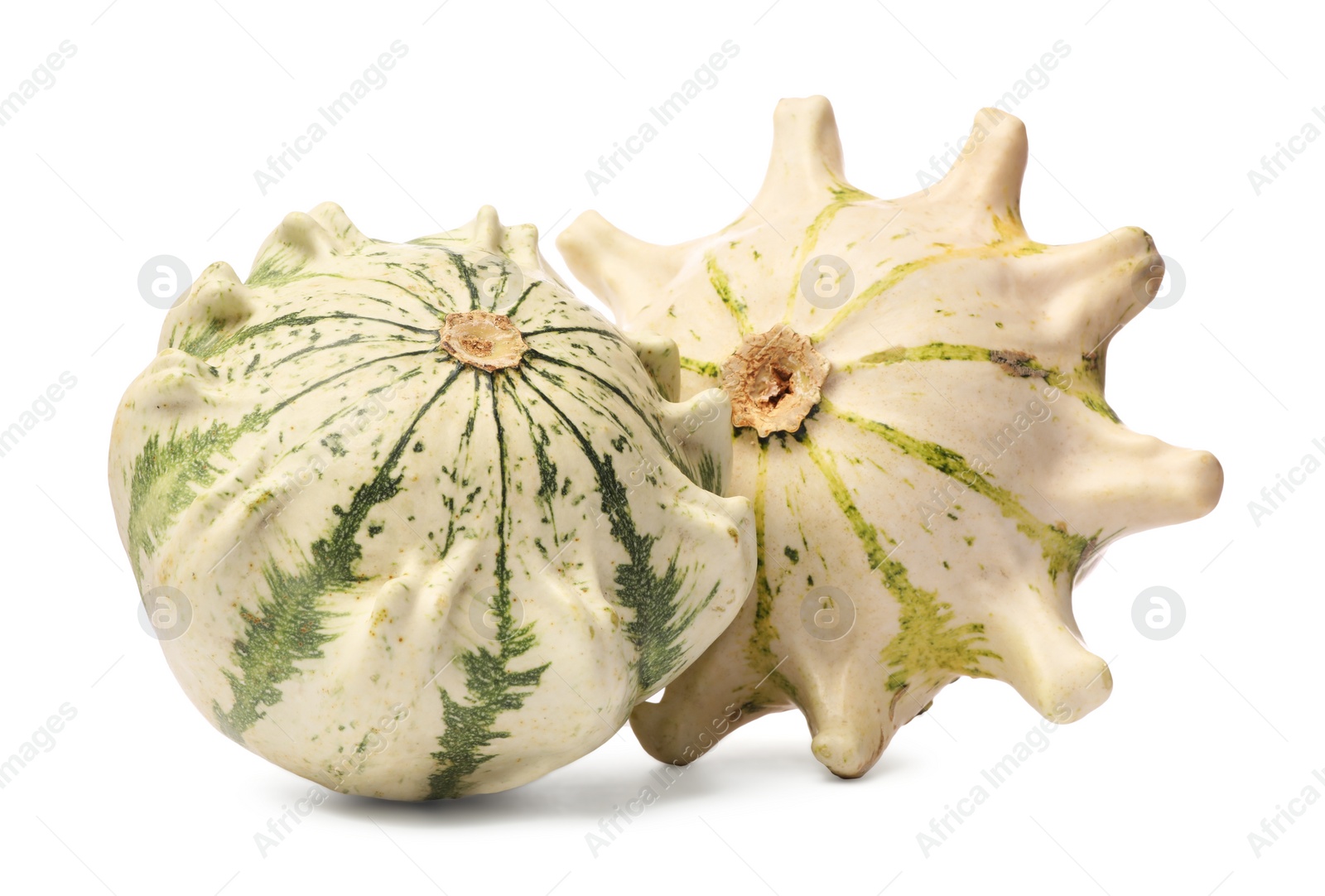 Photo of Two fresh ripe pumpkins isolated on white