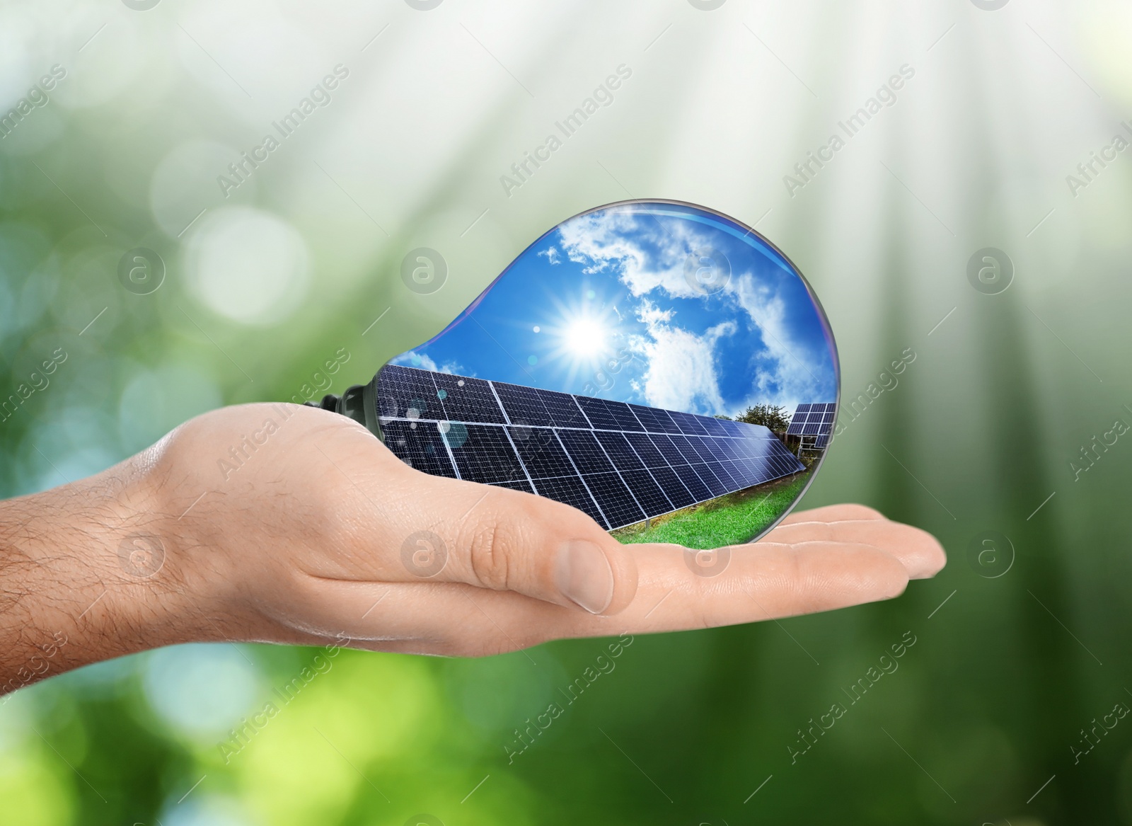 Image of Alternative energy source. Man holding light bulb with solar panels, closeup