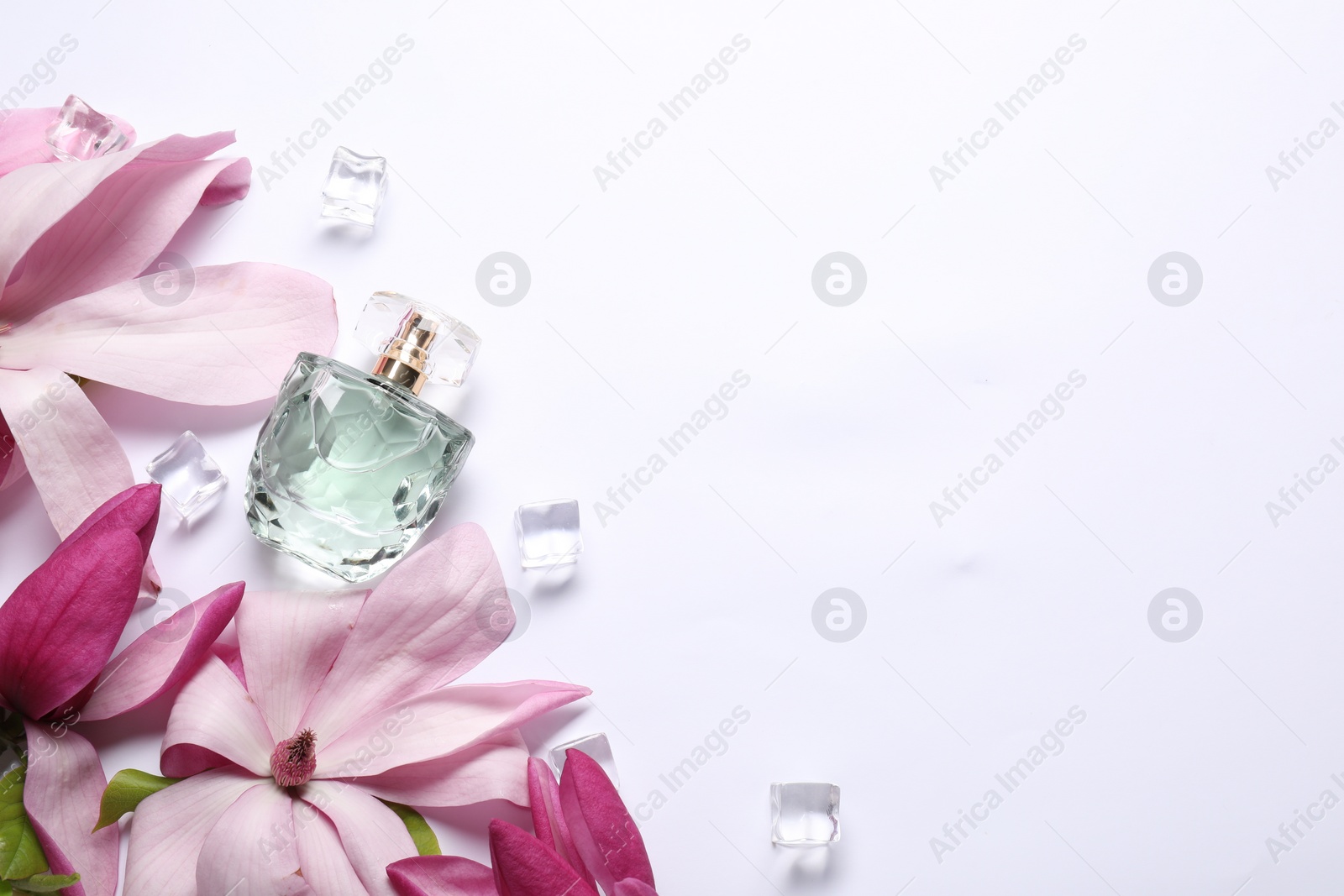 Photo of Beautiful pink magnolia flowers, bottle of perfume and ice cubes on white background, flat lay. Space for text