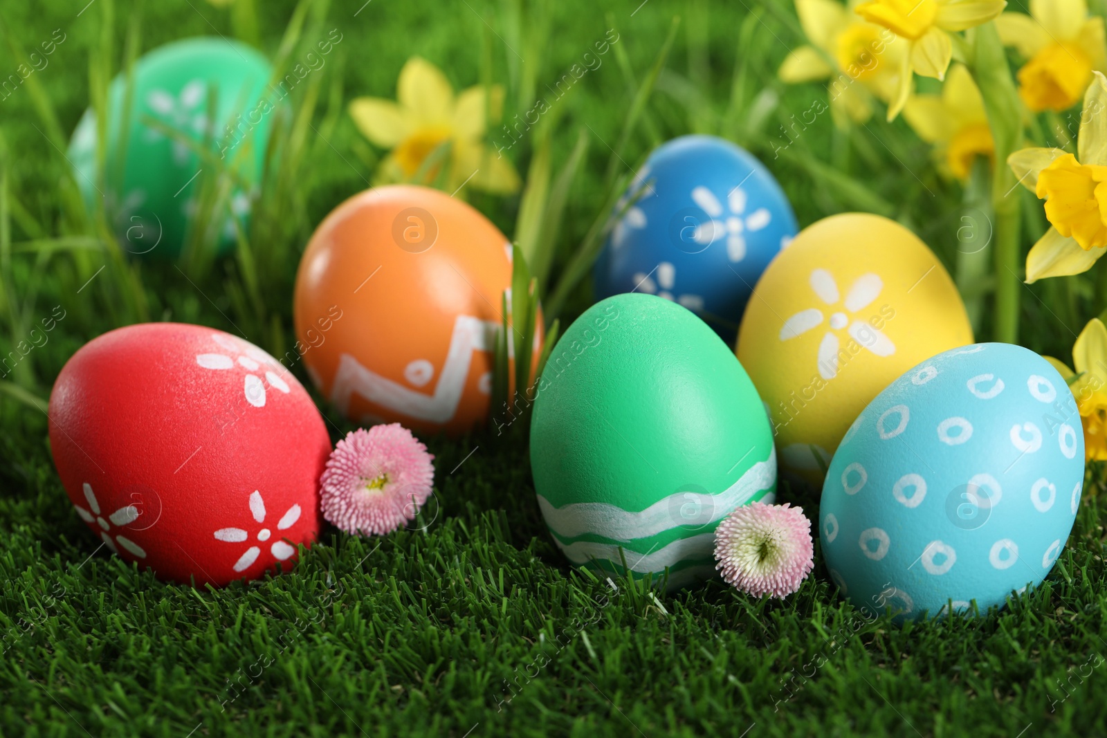 Photo of Colorful Easter eggs and flowers in green grass, closeup
