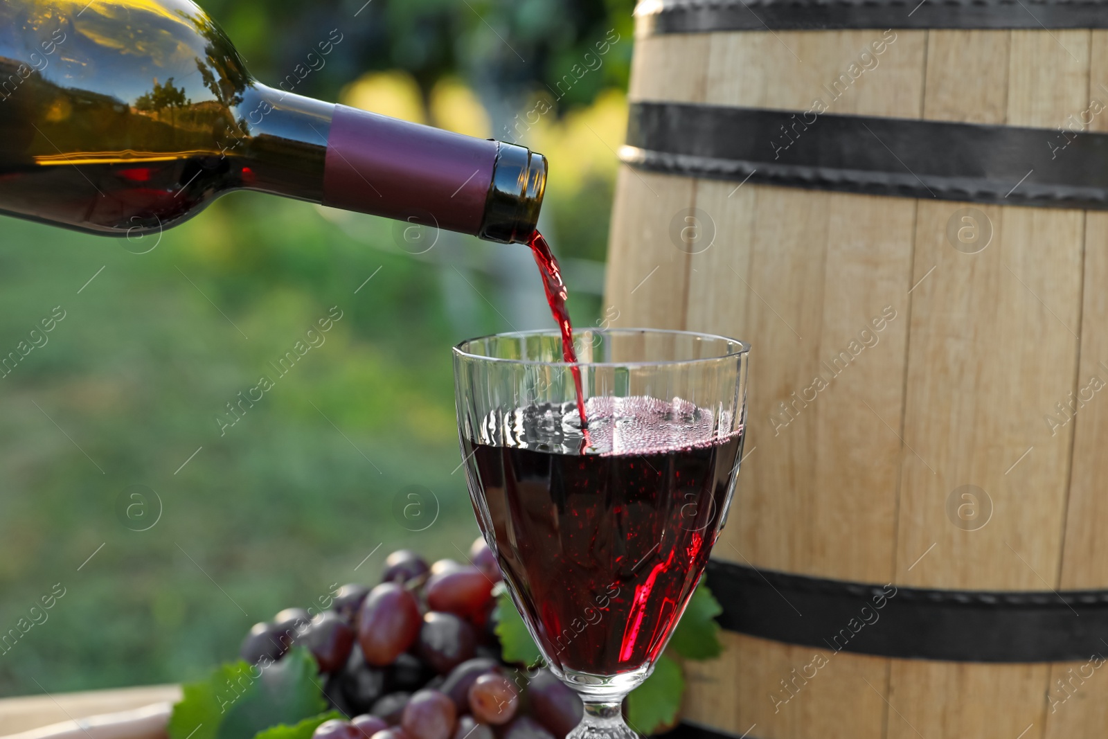 Photo of Pouring wine from bottle into glass in vineyard, closeup