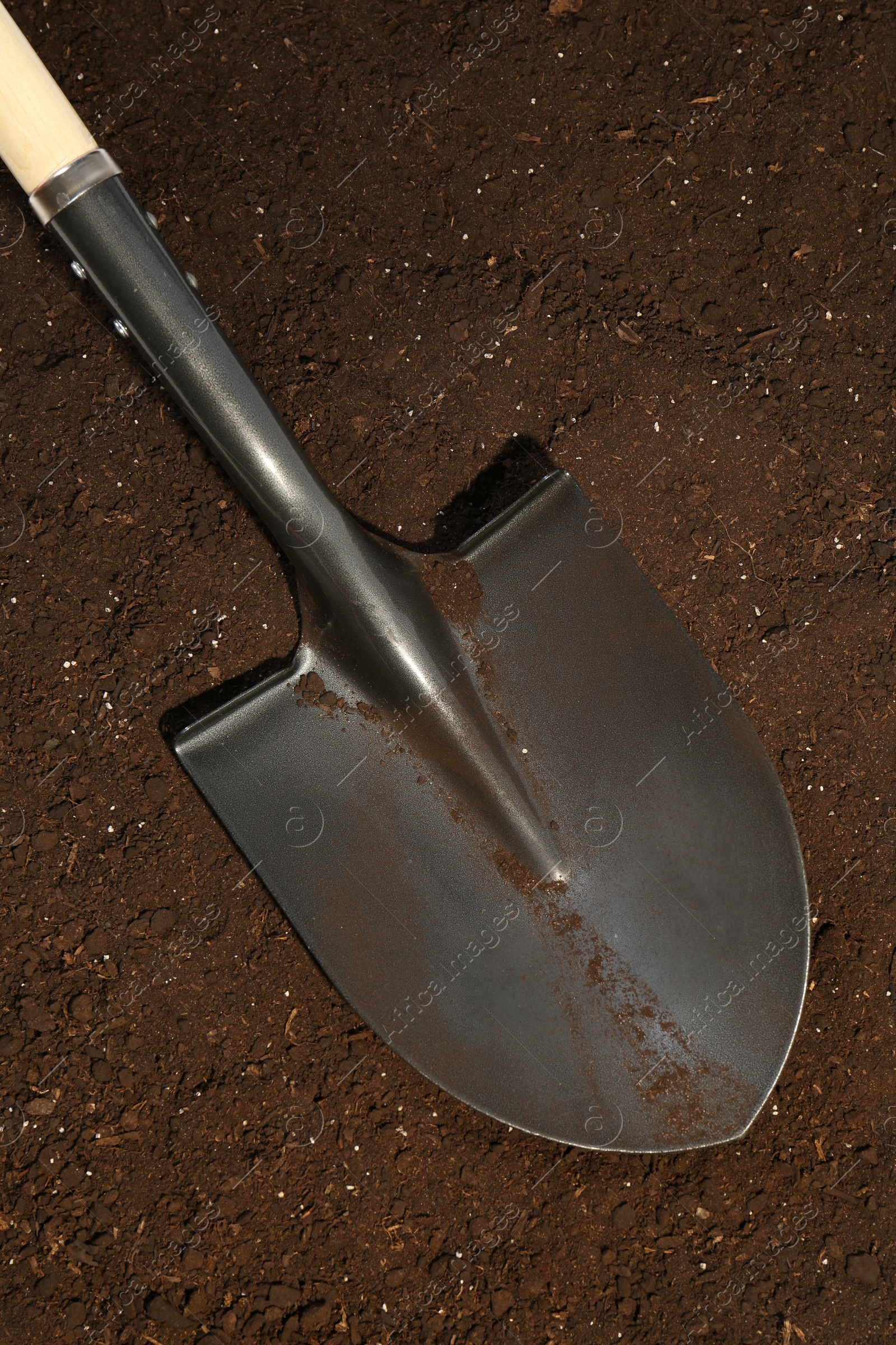 Metal shovel on fertile soil, top view. Gardening tool Photo of Metal shovel on fertile soil, top view. Gardening tool