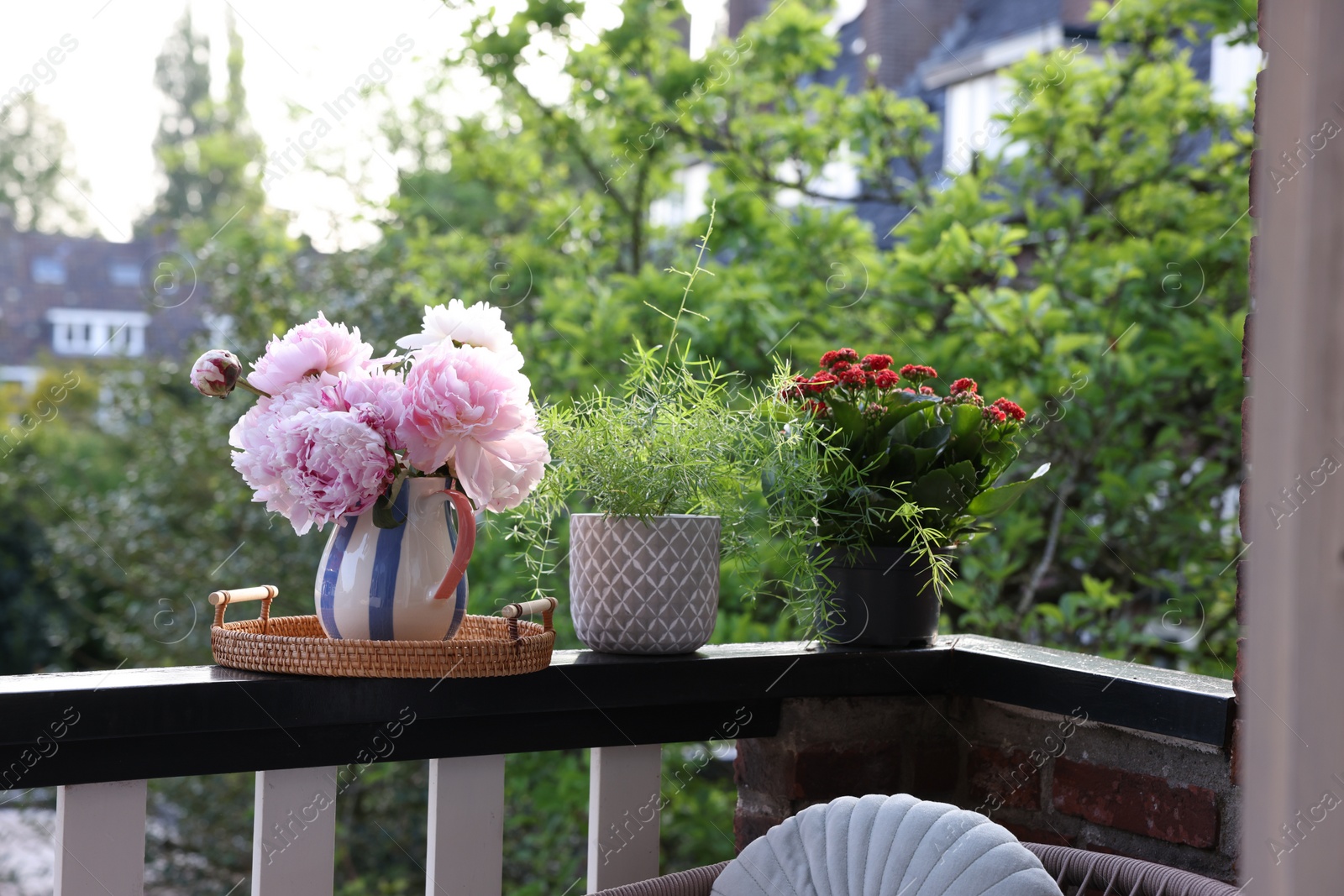 Photo of Balcony garden. Different plants growing on railings outdoors