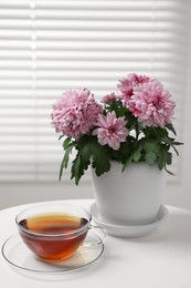 Beautiful chrysanthemum plant in flower pot and cup of tea on white table indoors