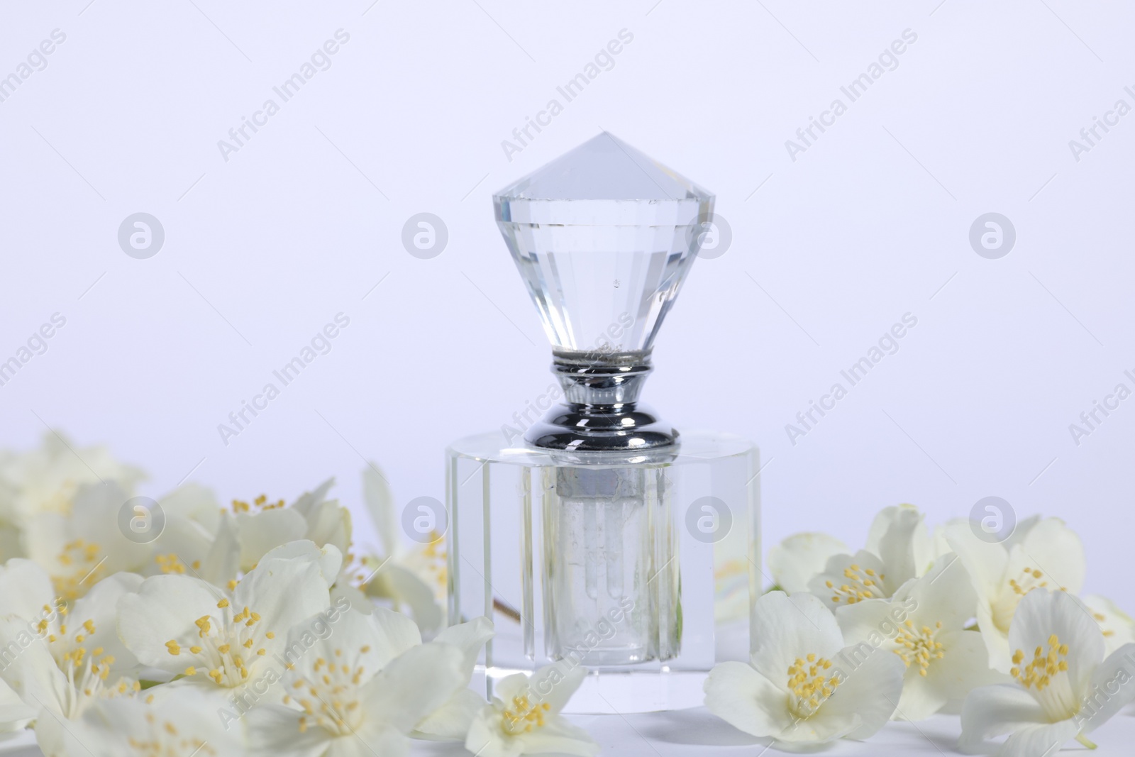 Photo of Aromatic perfume in bottle and beautiful jasmine flowers on white background, closeup