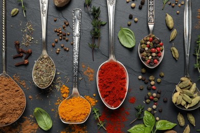 Photo of Different herbs and spices with spoons on black table, flat lay