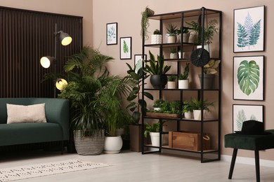 Stylish living room interior with many beautiful houseplants