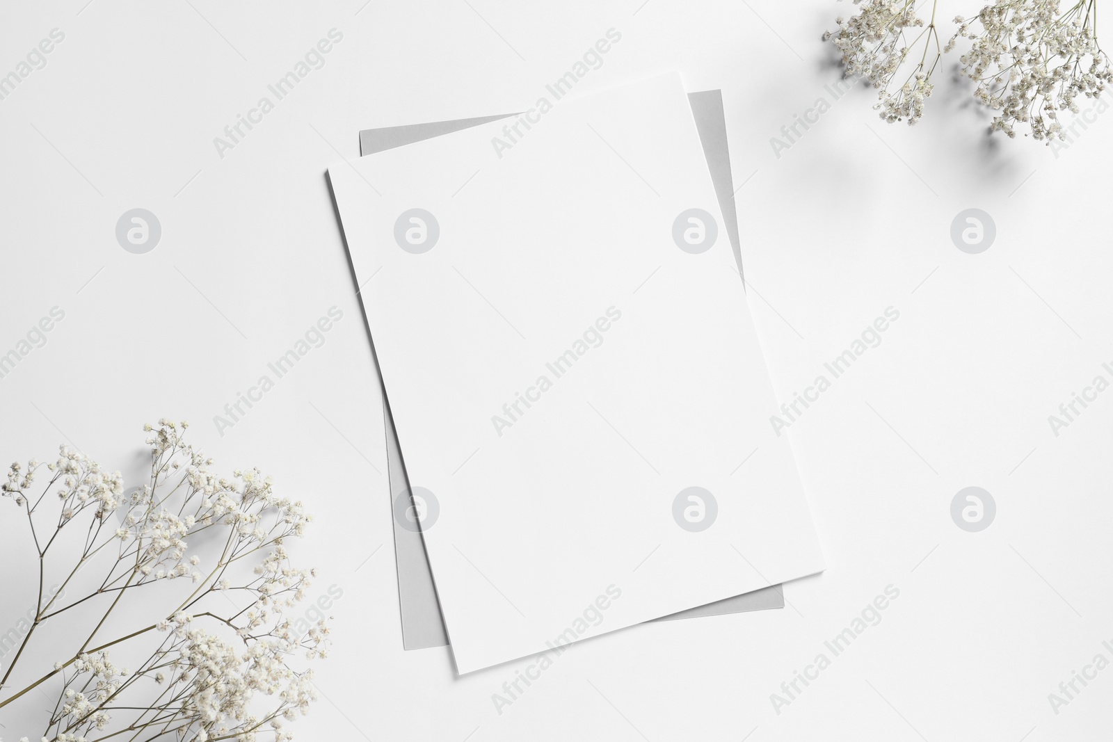 Photo of Empty sheet of paper and gypsophila flowers on white background, flat lay. Mockup for design