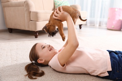 Photo of Portrait of cute girl with funny Brussels Griffon dog at home. Loyal friends