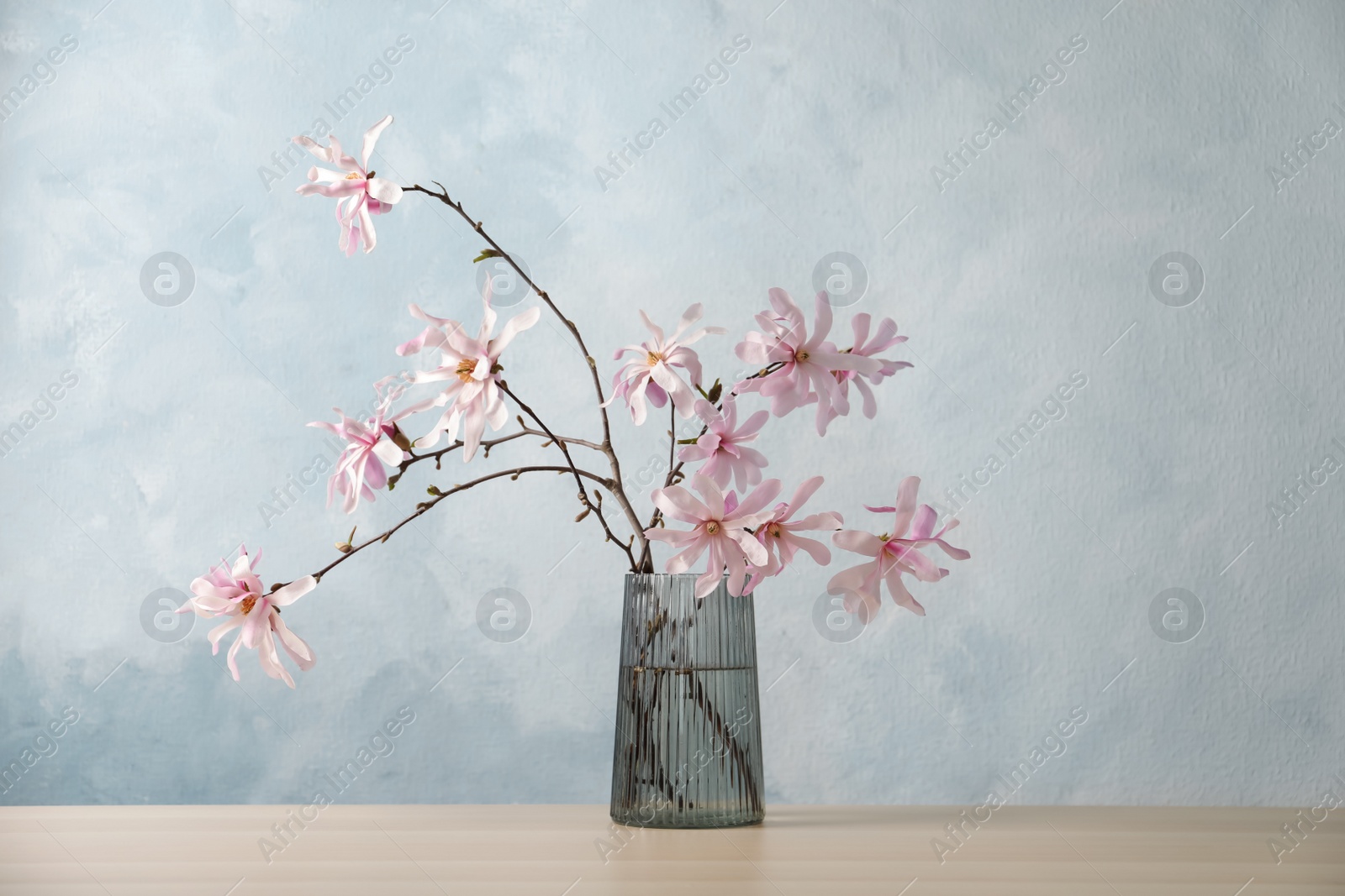 Photo of Magnolia tree branches with beautiful flowers in glass vase on wooden table against light blue background