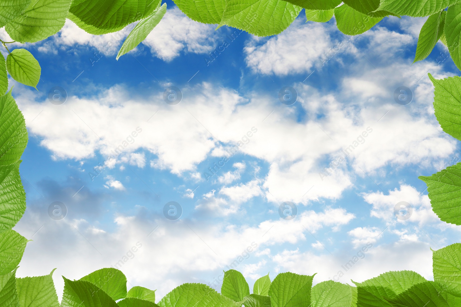 Image of Beautiful blue sky with clouds, view through vibrant green leaves