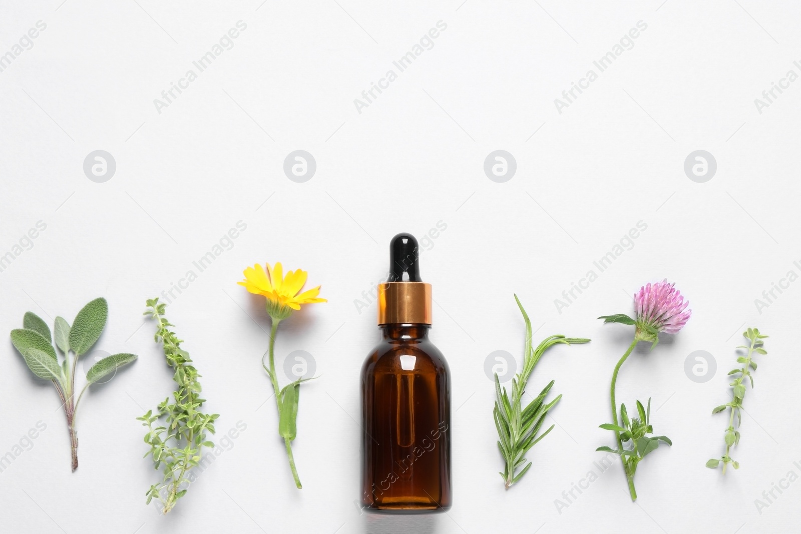 Photo of Bottle of essential oil, different herbs and flowers on white background, flat lay