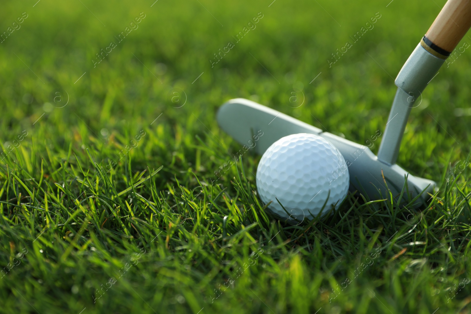 Photo of Hitting golf ball with club on green course, closeup. Space for text