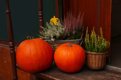 Photo of Beautiful pumpkins and flowers on wooden stairs outdoors