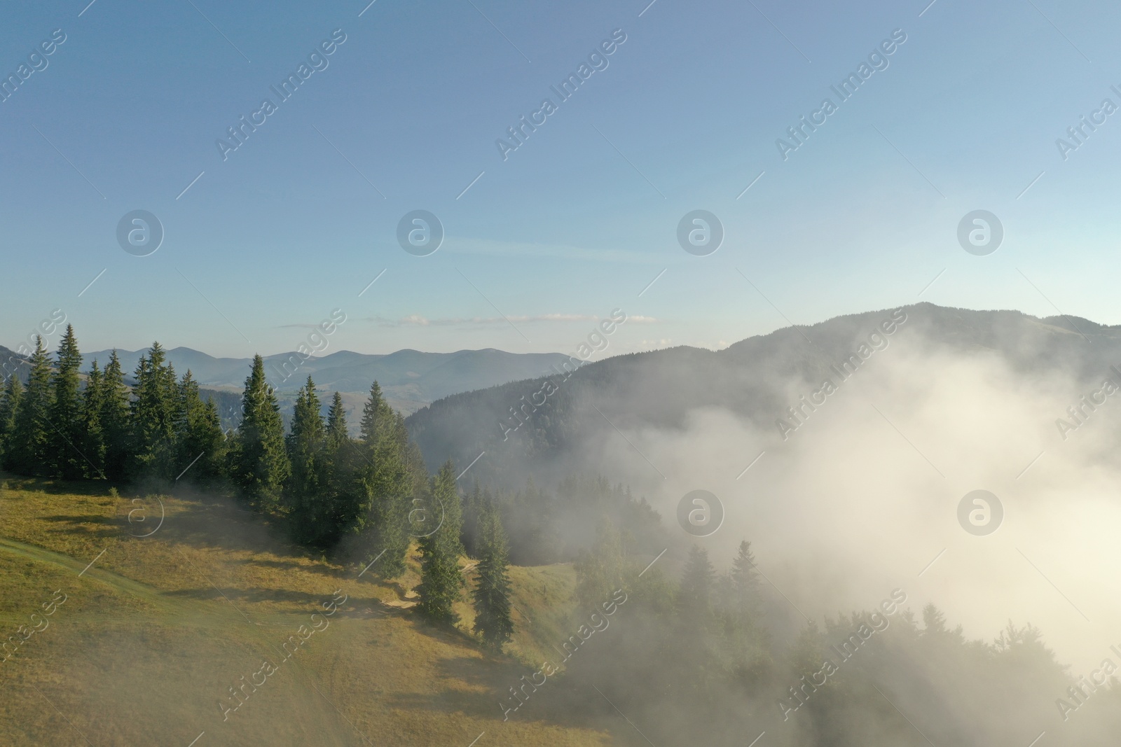 Photo of Aerial view of beautiful forest clearing covered with fluffy clouds in mountains on sunny day