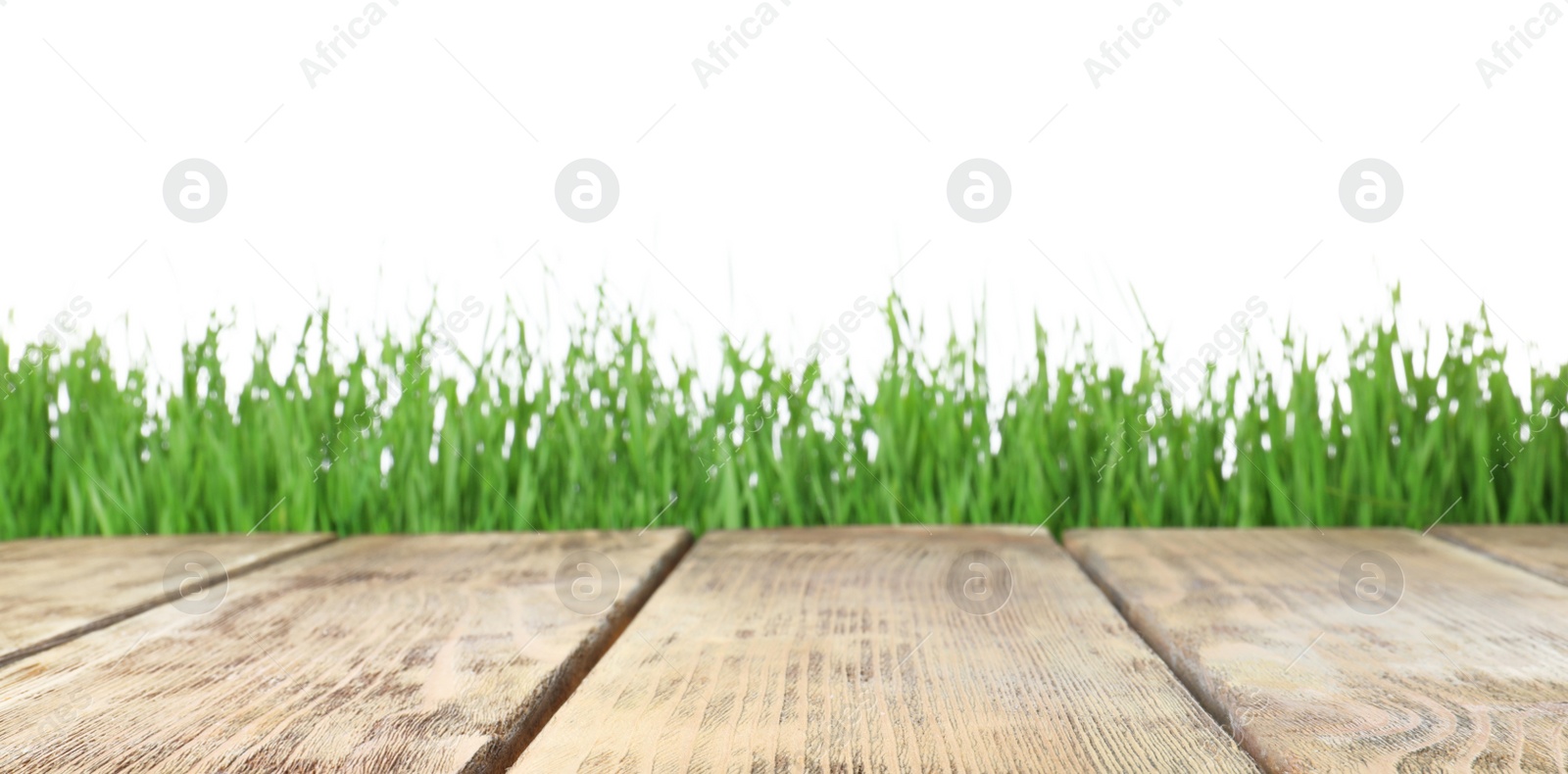 Photo of Wooden deck and green grass isolated on white