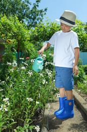 Photo of Little boy watering flowers in beautiful garden