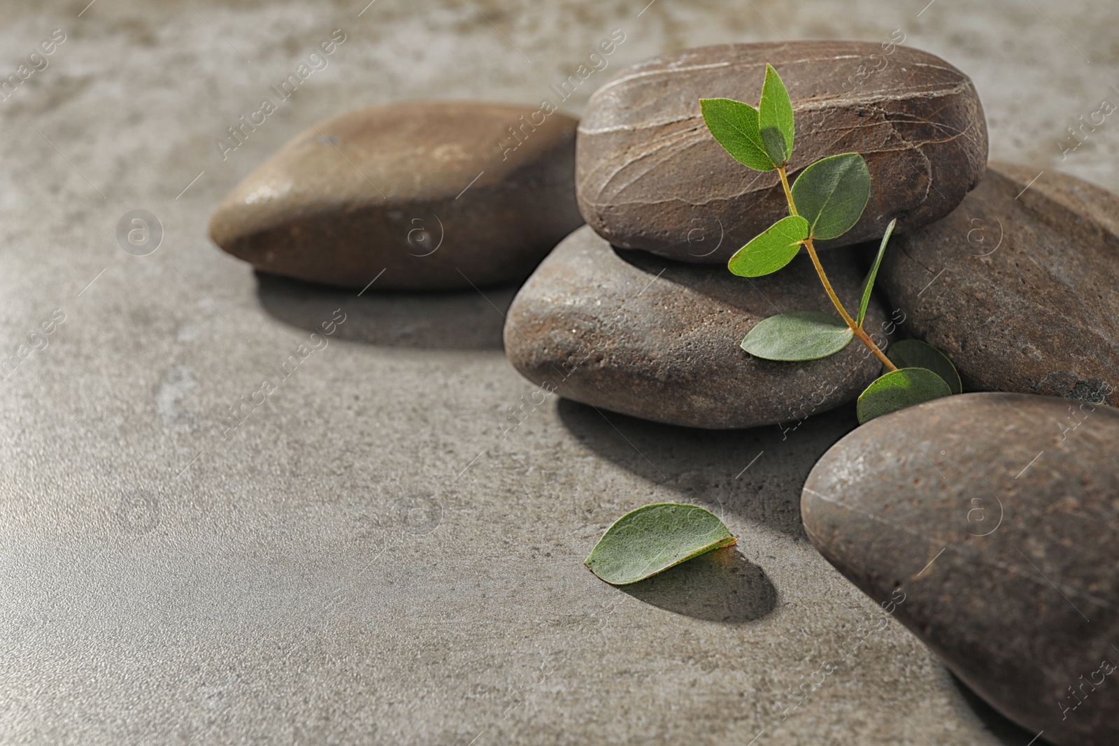 Photo of Spa stones with eucalyptus on color background. Space for text