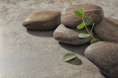 Spa stones with eucalyptus on color background. Space for text