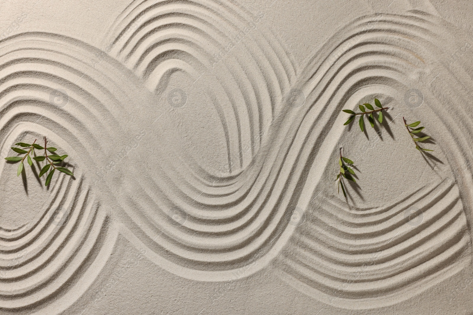 Photo of Beautiful lines and branches on sand, top view. Zen garden