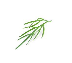 Photo of Sprig of fresh dill isolated on white