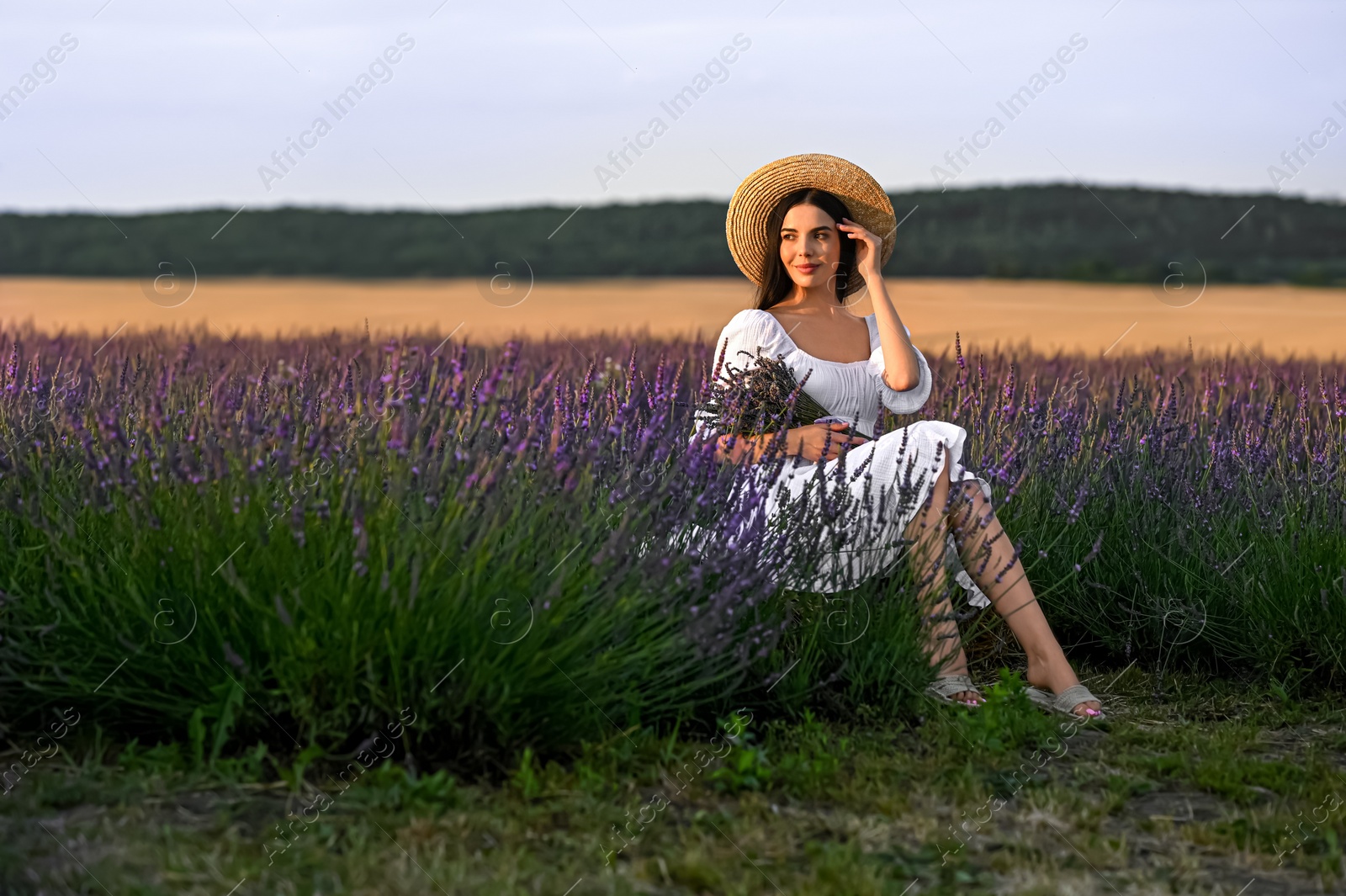 Photo of Beautiful young woman with bouquet sitting in lavender field at sunset