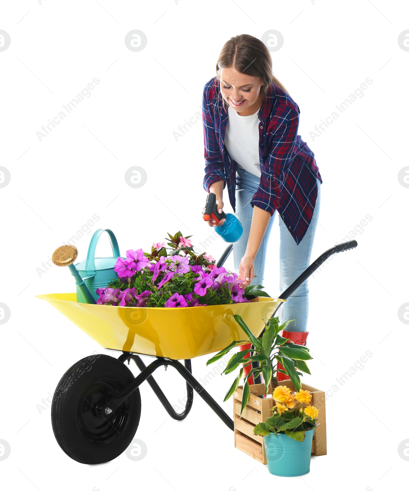 Photo of Female gardener with wheelbarrow and plants on white background