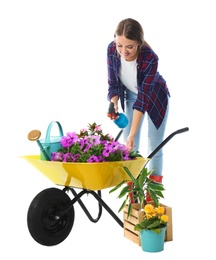 Photo of Female gardener with wheelbarrow and plants on white background