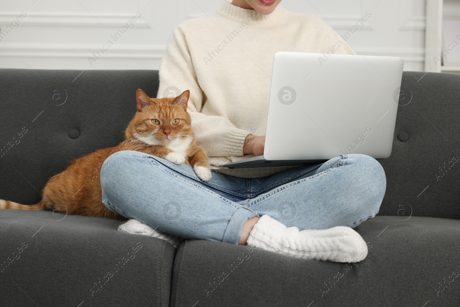 Photo of Woman working with laptop at home, closeup. Cute cat sitting on sofa near owner