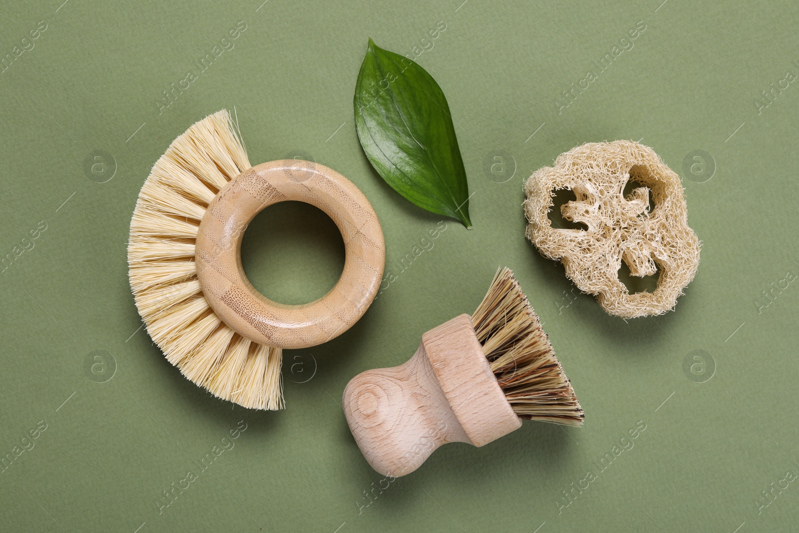 Photo of Cleaning brushes, loofah and leaf on green background, flat lay