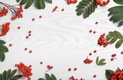 Frame of fresh ripe rowan berries and green leaves on white wooden table, flat lay. Space for text