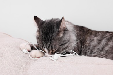 Naughty cat with damaged wired earphones on sofa indoors
