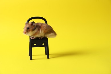 Adorable hamster on black toy chair against yellow background. Space for text