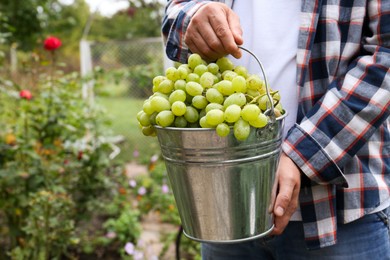 Photo of Farmer holding bucket with ripe grapes in vineyard, closeup. Space for text